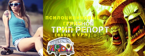 соль ск Балабаново