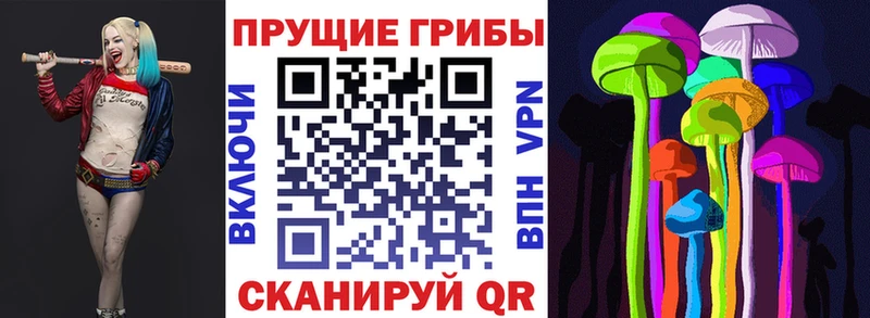 наркошоп  Лукоянов  МЕГА вход  Галлюциногенные грибы Cubensis 